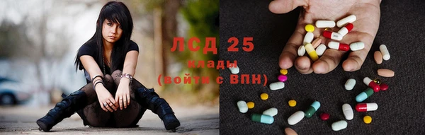винт Богданович