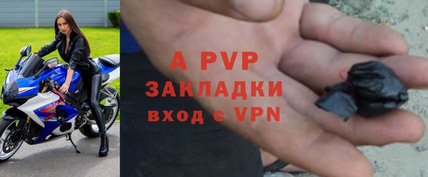 винт Богданович