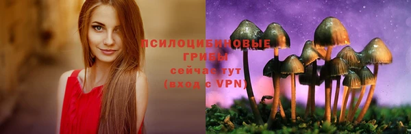 соль курить ск Богородицк