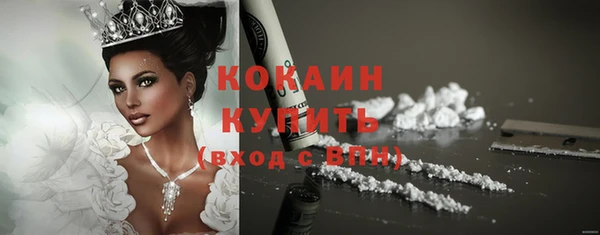 винт Богданович