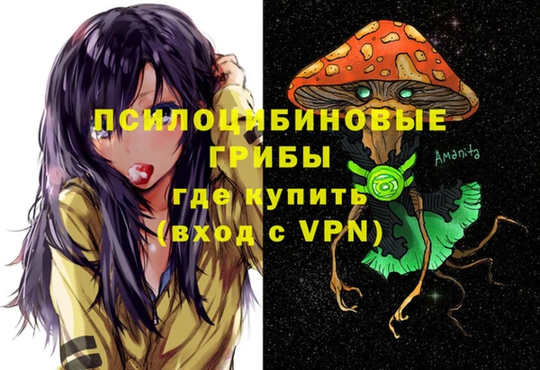 гашик Бородино