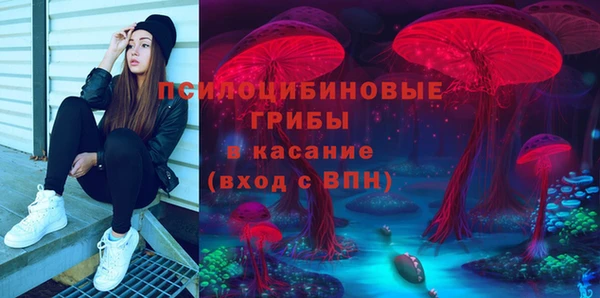соль курить ск Богородицк