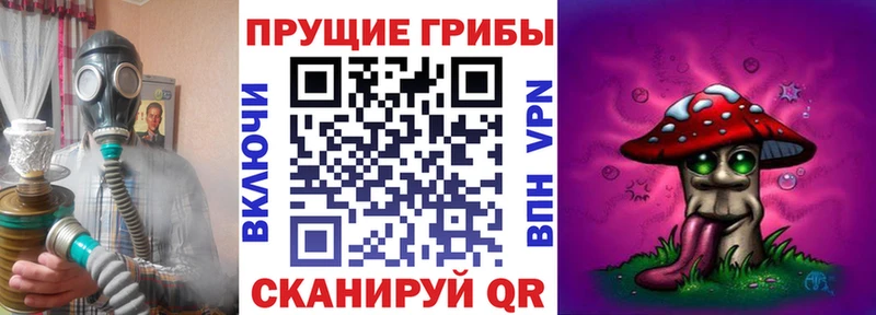 магазин  наркотиков  Йошкар-Ола  кракен онион  Псилоцибиновые грибы Cubensis 
